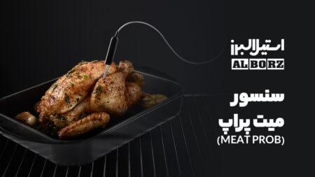 سنسور پخت گوشت (MEAT PROBE)